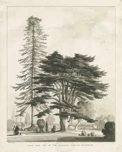 Haughton Rectory