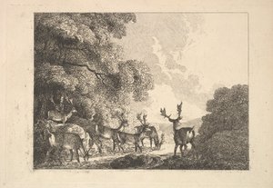 A Group of Stags Drinking, 1784-88 by Thomas Rowlandson