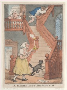 A Maiden Aunt Smelling Fire by Thomas Rowlandson