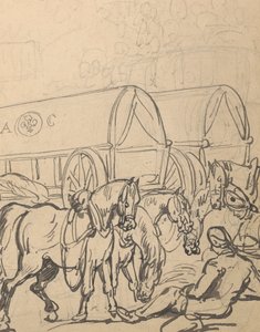 Album Drawing