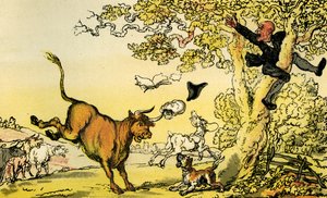 Dr Syntax pursued by a bull