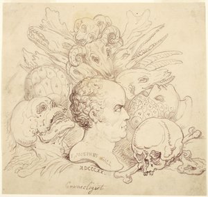 F. Josephus Gall, Craniologist