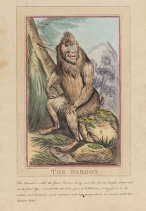 Set of Eight with Title-Page. 