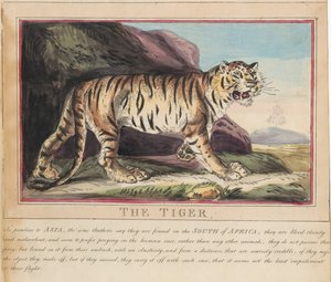 Set of eight with title-page. 