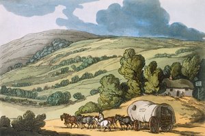 Taunton Vale, Somersetshire