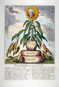 The Flower of the City, 1809 by Thomas Rowlandson
