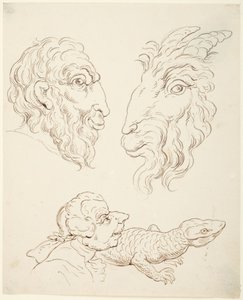 Two Caricatures: Man and Goat, Man and Lizard