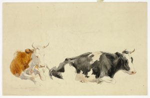 Two Recumbent Cows (recto); Sketch of Standing Cow (verso) by Thomas Sidney Cooper