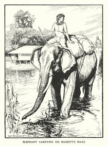 Elephant Carrying His Majesty