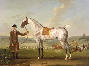 Scipio, Colonel Roche