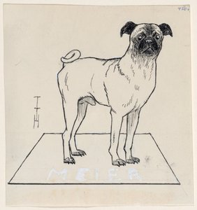 Pug Meier by Thomas Theodor Heine
