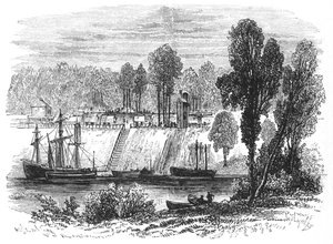 Savannah
