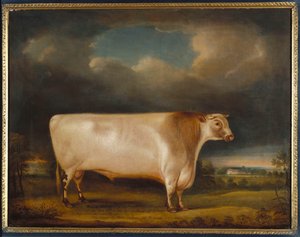 Comet, a Light Roan Short-Horn Bull in a Landscape, 1811 by Thomas Weaver