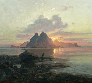 Phalacrocorax Aristotelis in Midnight Sun by Thorolf Holmboe