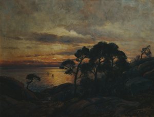 Pine Tree at Sunset