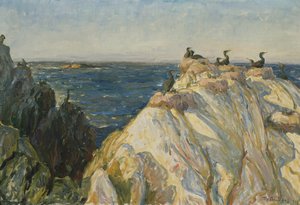 Seabird