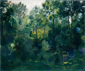 Forest Interior