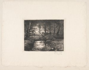 Stream in Borrevejle Forest
