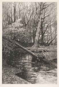 Forest Landscape with a Stream