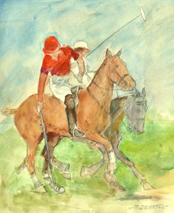 Polo Match