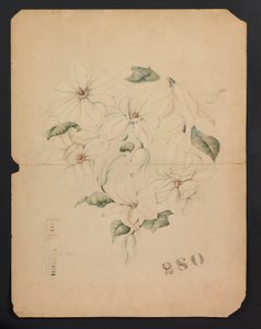 Design Drawing for Magnolia Vase, c.1893