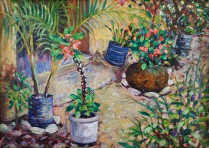 African Pot Plants