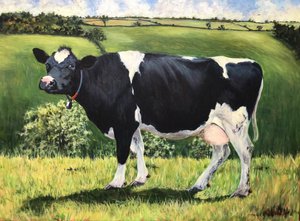 Cow