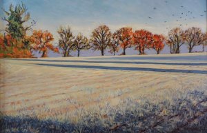 Frost on the Field by Tilly Willis