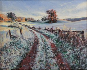 Frozen Morning
