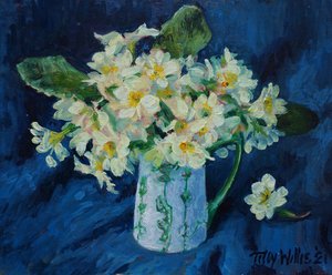 Primroses