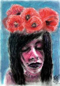 Red Poppies Dreamer