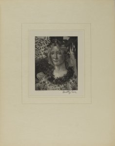 Old Italian Masters by Timothy Cole