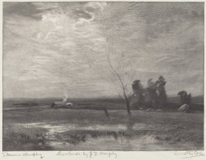 Lowlands