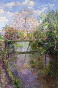 Flowering Cherry and Trellis Bridge
