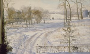 Moorhens Searching by Timothy Easton