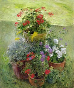Shaded Pots
