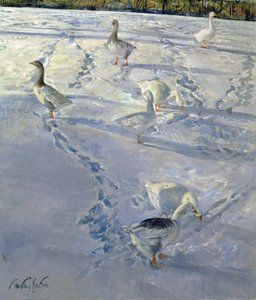 Shadows and Trackways by Timothy Easton