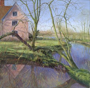 Sprouting Willow Tree
