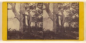 Bowditch by Timothy H. O