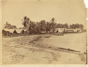 Huts, Palm Trees and Beach, Isthmus of Darién (Panama) by Timothy H. O
