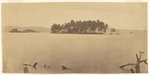 [Isthmus of Darién (Panama)] by Timothy H. O