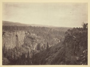 North Fork Canyon, Sierra Blanca Creek, Arizona by Timothy O