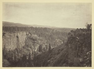 North Fork Canyon, Sierra Blanca Creek, Arizona by Timothy O