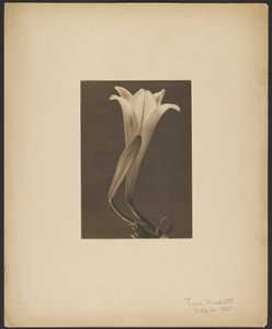 No. 1