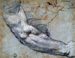 Study of arm (by Titian) by Titian (c.1488 1576)