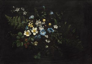 Spray of Flowers and Ferns by Titian Ramsay Peale