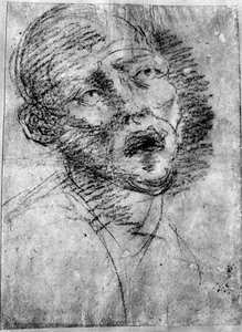 Head of a Moor by Tiziano Vecelli