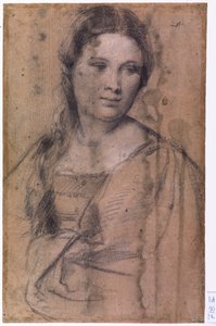 Portrait of a Young Girl
