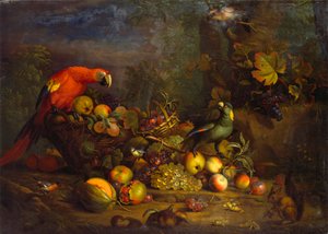 Parrots and Fruit with Other Birds and a Squirrel