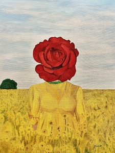 Rose Head Yellow Field by Tom Blood